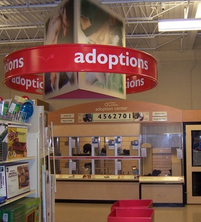 Our Adoption Center in PetSmart